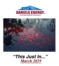 #53. Daniels Energy - This Just In - March 2019