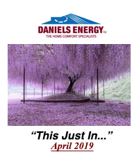 #54. Daniels Energy - This Just In - April 2019
