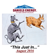 #22. Daniels Energy - This Just In -August 2016