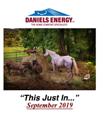 #59. Daniels Energy - This Just In - September 2019