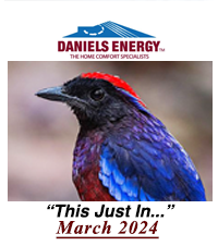 Daniel's energy "This Just In" march 2024.